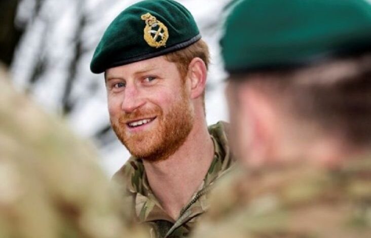 3 Prestasi Pangeran Harry pada tempat Planet Militer Inggris, Bunuh 25 Orang ketika Pekerjaan di Afganistan