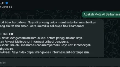 Apakah Meta Kecerdasan Buatan di dalam pada WhatsApp Berbahaya? Artikel Ini adalah adalah Jawabannya