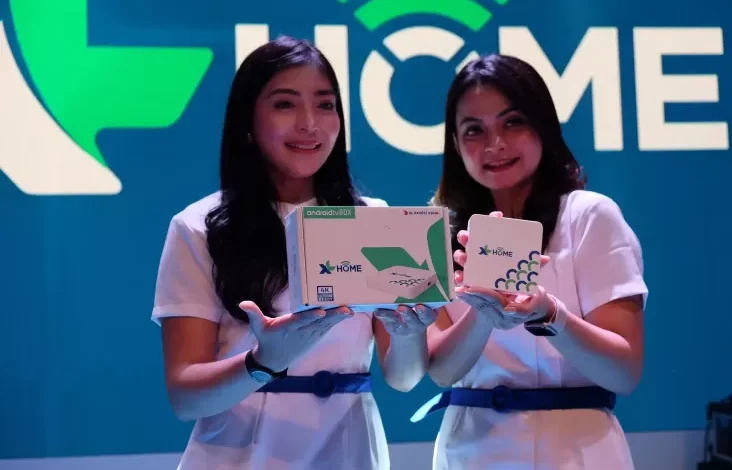 Biznet Ngebut, XL Anteng! Opensignal Bongkar Rahasia Global Maya Rumah pada Indonesia