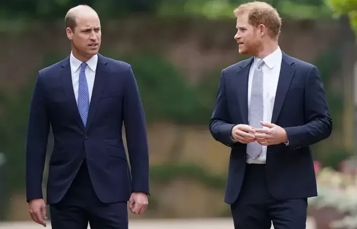 Diam-diam Pangeran William Membutuhkan Harry Kembali ke Inggris