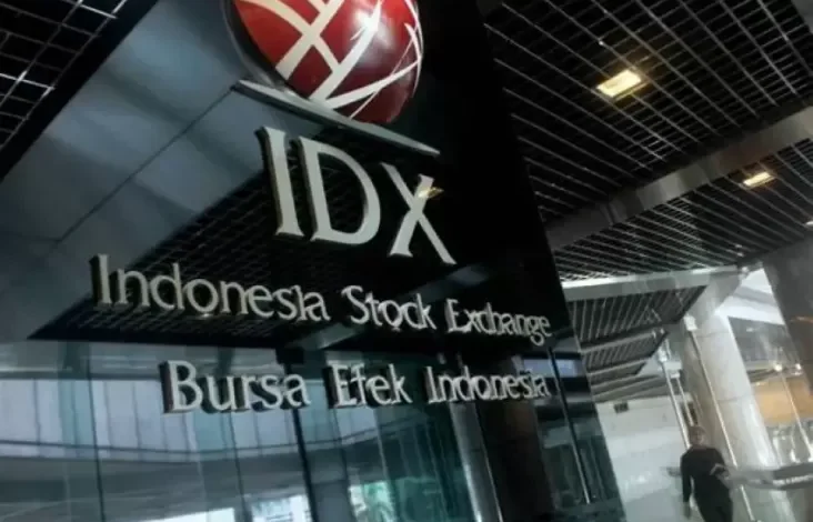 IPO di 2025 Bakal Didominasi Raksasa, Intip Bocorannya