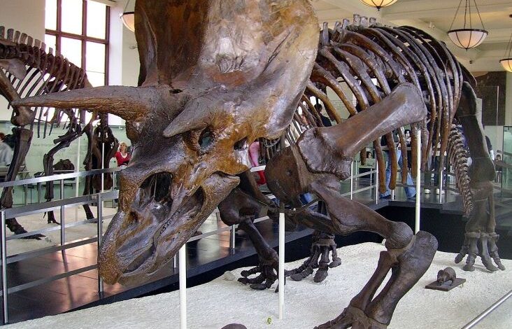 Kecerdasan Dinosaurus Tergantung Ukuran Tubuhnya, Hal ini Hasil Risetnya