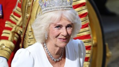 Mengenal Penyakit Infeksi Dada yang tersebut digunakan Diderita Ratu Camilla Permaisuri Kerajaan Inggris