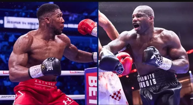 Oleksandr Usyk Lawan Daniel Dubois dan juga Anthony Joshua Tahun Depan?