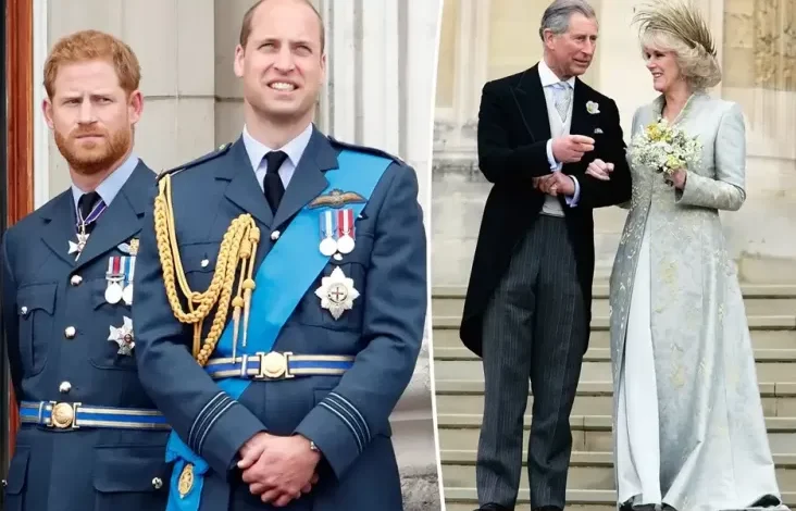 Pangeran Harry juga William Sempat Memohon Raja Charles III untuk Tidak Menikahi Ratu Camilla