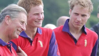 Pangeran Harry Sindir Raja Charles pada tempat Film Dokumenter Terbaru, Singgung Adu Domba Ayah juga Anak