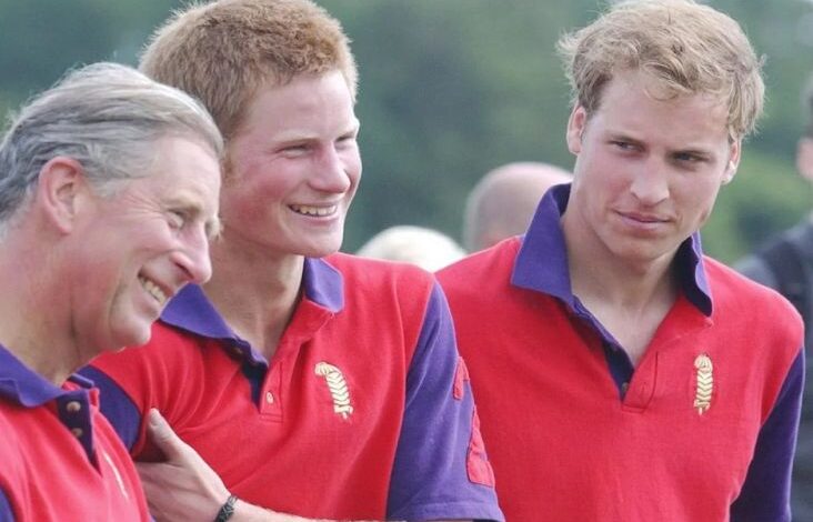 Pangeran Harry Sindir Raja Charles pada tempat Film Dokumenter Terbaru, Singgung Adu Domba Ayah juga Anak
