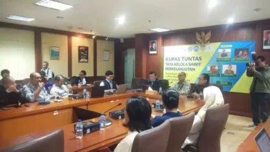Pelaku Usaha Berharap Presiden Segera Bentuk Badan Otorita Sawit