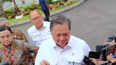 pemerintahan Bakal Umumkan Kebijakan PPN 12 Persen Hari Mulai Pekan Pekan Depan