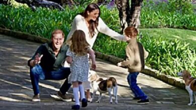 Pangeran Harry kemudian Meghan Markle Ikut Perilisan Kartu Natal, Perlihatkan Keluarga Sempurna