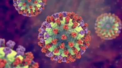 3 Persamaan Influenza A dan juga pandemi wabah Covid-19 yang digunakan mana Menyerang China