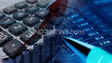 8 Emiten Bakal IPO di dalam area Januari 2025, Analis Sarankan Hal ini ke Penanam Modal