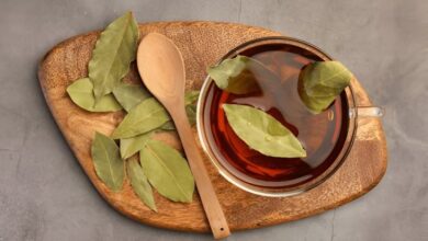 Apakah Boleh Setiap Hari Minum Air Rebusan Daun Salam?