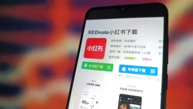 Calon Terkuat Pengganti TikTok, Ahli Minta Negeri Paman Sam Awasi Ketat RedNote