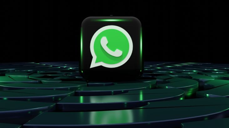 Cara agar WhatsApp Selalu Centang 1 Tanpa Mematikan Fakta