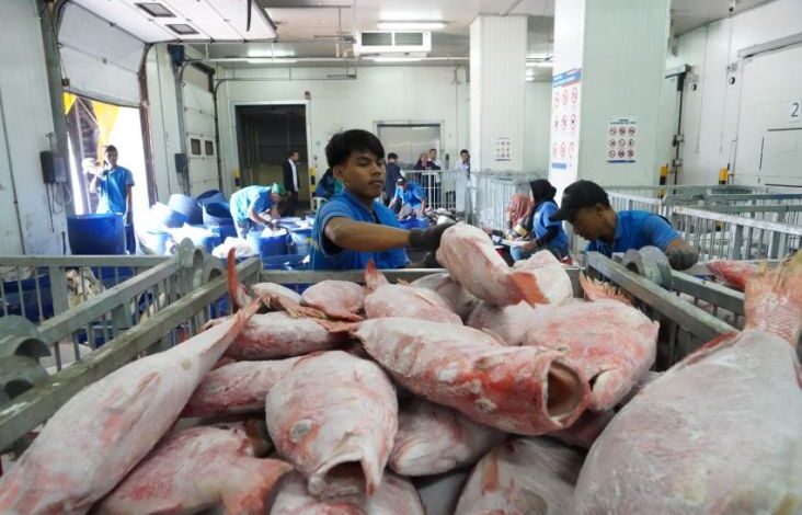 Dukung Hilirisasi Perikanan, KKP Siapkan Sistem Berita Cold Storage