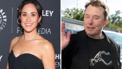 Elon Musk Kalah Populer dari Meghan Markle dalam area Inggris, tapi Sama-sama Tidak Disukai