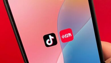 Fakta Aplikasi RedNote Calon Luar Biasa Pengganti TikTok