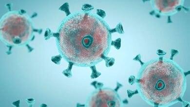 HMPV lalu Influenza A Meluas, Planet Hadapi Krisis Area Kesejahteraan Baru