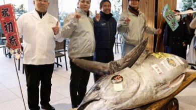 Ikan Tuna Seukuran Sepeda Motor Dijual Rp20,9 Miliar ke Tempat Makan Sushi pada Tokyo