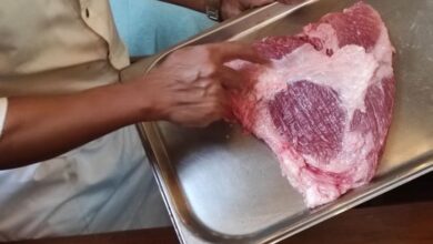 Keran Impor Dibuka, PT Artha Pangan Gemilang Lirik Pasar Daging Premium