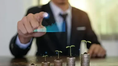 Kantongi Keseriusan Penanaman Modal Hijau Singapura, Kadin Sodorkan Beragam Insentif