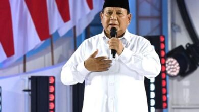 Perintah Prabowo Terhadap Pagar Laut Diungkap Muzani: Segel lalu Usut!