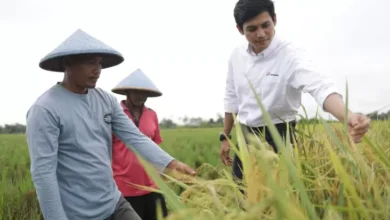 Pertamina EP Ajak Generasi Muda Kembangkan Industri Pertanian