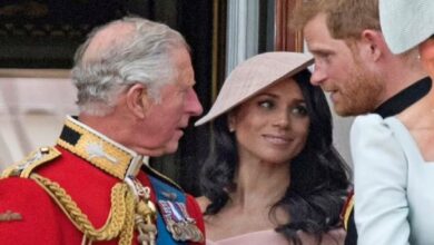 Raja Charles Beri Julukan Aneh pada Meghan Markle, Logam Langka yang mana digunakan Beracun