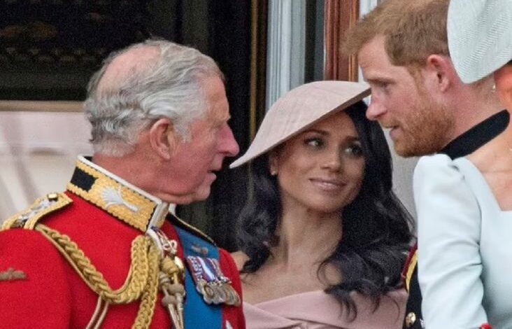 Raja Charles Beri Julukan Aneh pada Meghan Markle, Logam Langka yang mana digunakan Beracun