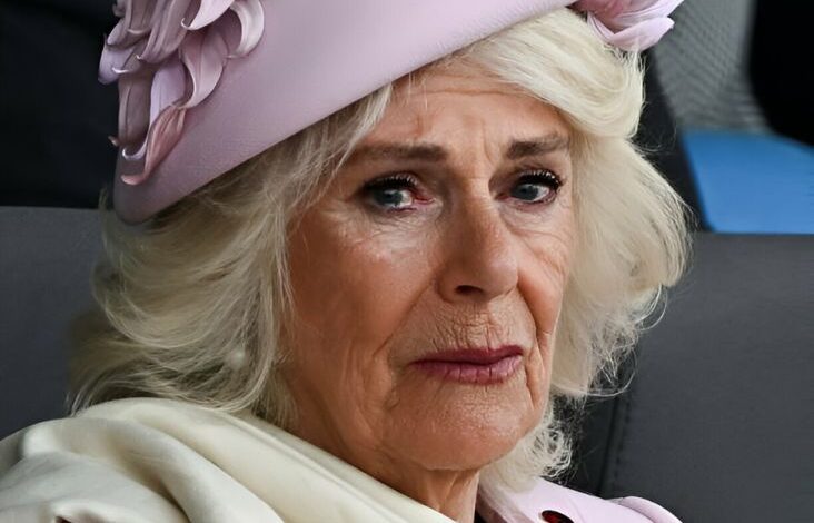 Ratu Camilla Menangis Posisinya Digantikan Putri Anne, Takut Turun Takhta?