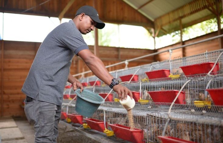 SIG Bantu Komunitas Peternak Puyuh Andalas Memproduksi 4.000 Telur per Hari