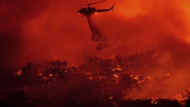 Teknologi Lanjutan Amerika Serikat Tidak Bisa Menaklukkan Alam yang tersebut mana Membakar California lalu LA
