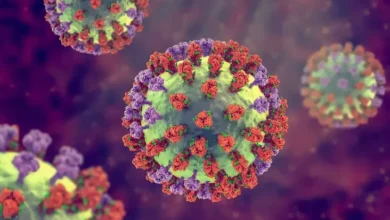 Waspada! Bayi pada Bawah Usia 1 Tahun Berisiko Tinggi Terkena Virus HMPV