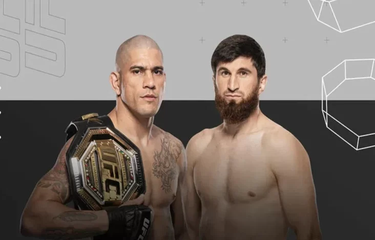 Alex Pereira vs Magomed Ankalaev di dalam tempat UFC 313: Beda Persiapan Jadi Sorotan!