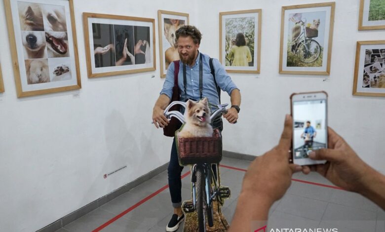 Cara mengambil foto estetik dengan ponsel, hasilnya memukau!