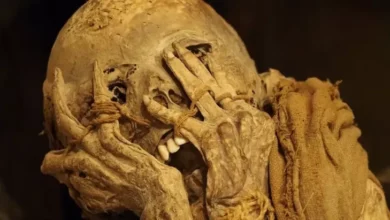 Arkeolog Pecahkan Misteri Menakutkan dalam pada Balik Kutukan Firaun