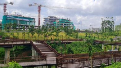 ASN Batal Pindah ke IKN di dalam tempat Januari 2025, Ada Apa?