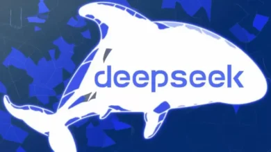Belanda Larang DeepSeek Digunakan, Hal ini adalah Alasannya