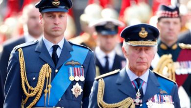 Dapat Restu Raja Charles III, Pangeran William Akan Jalankan Peran Penting Wakili Kerajaan