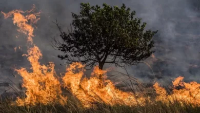 Ilmuwan Ungkap Peningkatkan Titik Panas yang mana mana Akan Picu Kebakaran di area tempat Asia Tenggara