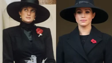Meghan Markle Terinsipirasi Pekerjaan Kerajaan Putri Diana, tapi Banyak yang mana mana Tidak Dikerjakan
