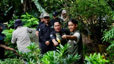 Menhut Melakukan Pertemuan Irfan Hakim, Diskusikan Pergerakan Sayangi juga Lestarikan Satwa Indonesia
