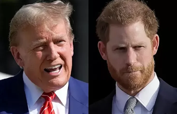 Pangeran Harry Sindir Donald Trump, Beberapa Jam setelahnya Meghan Markle Diejek