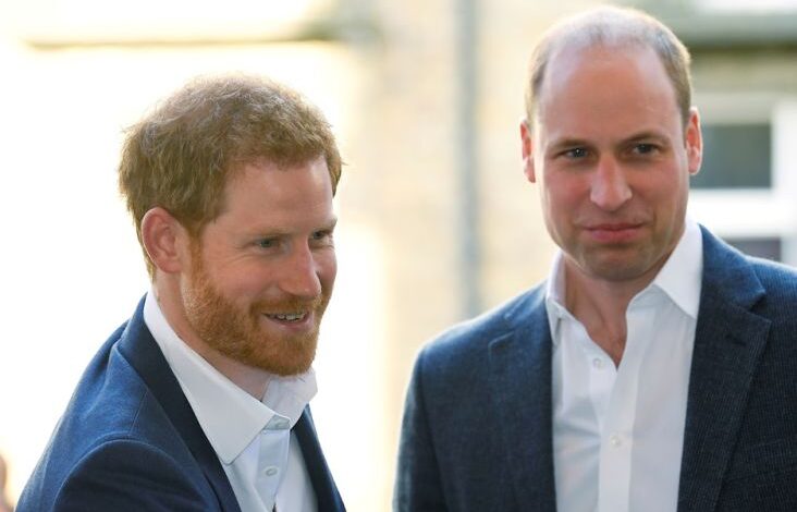 Pangeran Harry Tawarkan Diri Jadi Raja Inggris Gantikan William