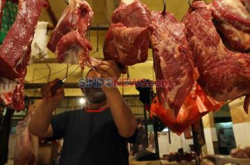 pemerintahan Diminta Jaga Ketersediaan Daging Sapi ketika Ramadan