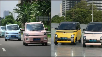 Pengen Punya Mobil Listrik? 11 Pilihan Termurah 2025 Hal ini WajibDilirik!
