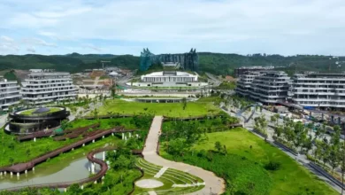Siap-siap! Pegawai Otorita Pindah ke IKN Mulai Maret 2025