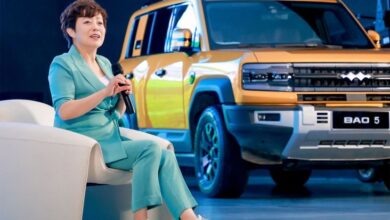 Stella Li Otak di area area Balik Kesuksesan BYD pada Industri Otomotif Global