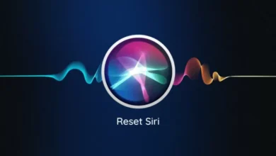 Apple Umumkan Tunda Sematkan Fitur Teknologi Artificial Intelligence di dalam pada Siri